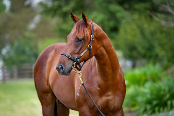 Lot 80: Capitalist / In Good Time