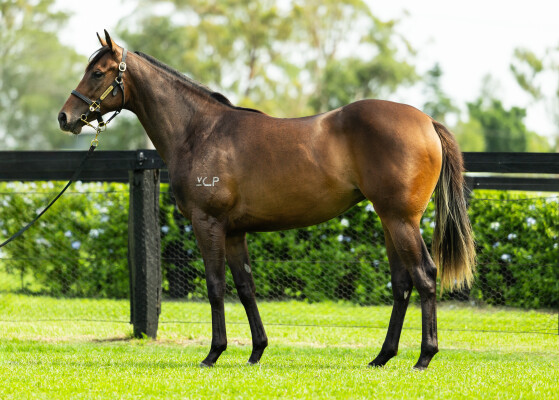 Lot 788: Cosmic Force / Etheridge