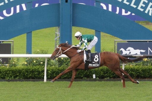 Well Written remains unbeaten with spectacular performance in NZ