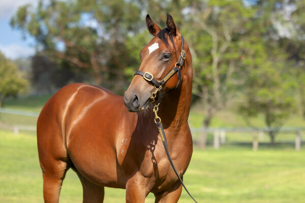 Lot 228: Acrobat / My Sanctuary (GB)