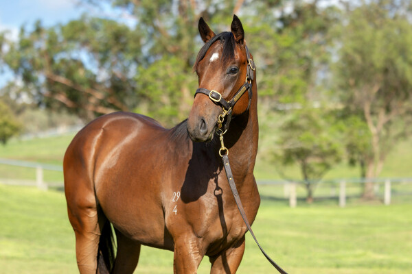 Lot 585: Russian Revolution / Wolverette (USA)