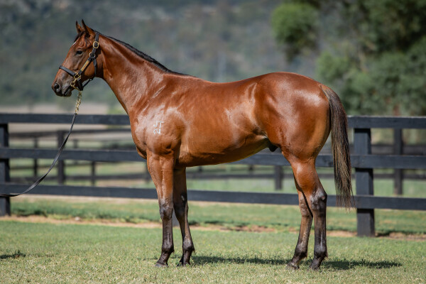 Lot 3: Written By / Fancy Liquor