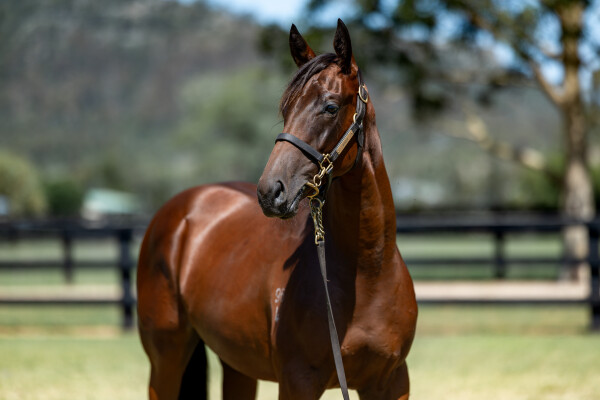 Lot 144: Written By / Live in Hope