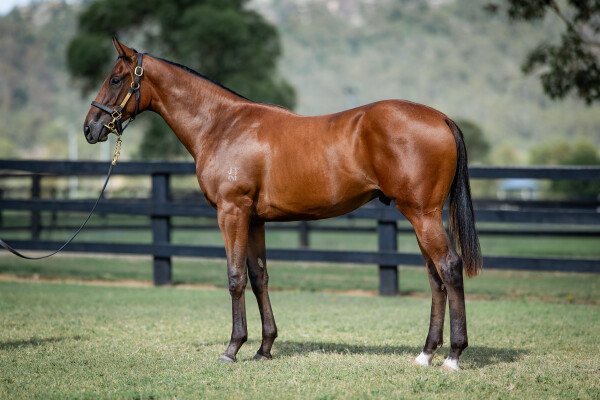 Lot 150: Written By / Lopez