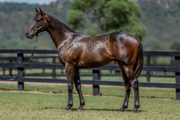 Lot 170: Zoustar / Mary's France (FR)