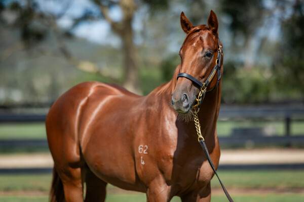 Lot 316: Written By / Prismatic