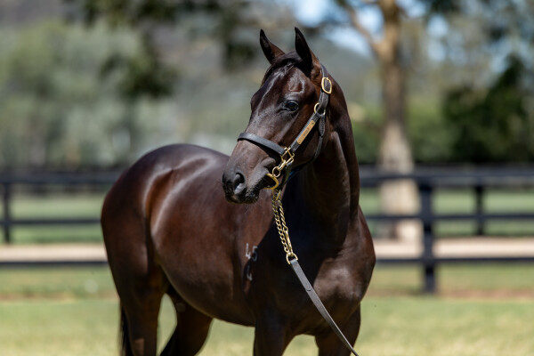 Lot 344: Exceedance / Refuge Bay