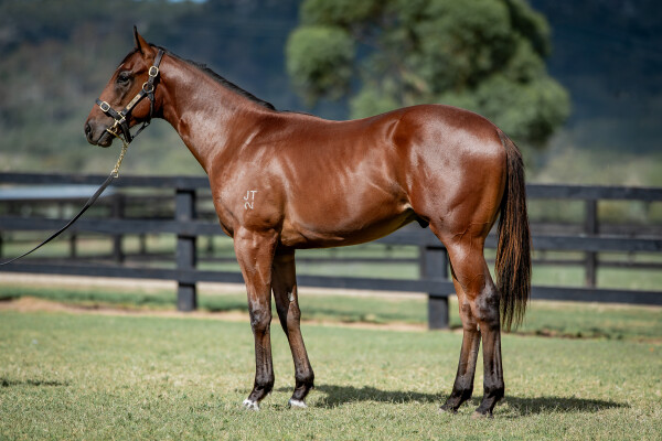 Lot 369: Portland Sky / Ruby Society