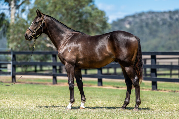 Lot 609: Trapeze Artist / A Million Tears