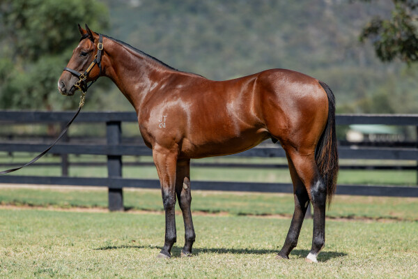 Lot 727: Written By / Concessions