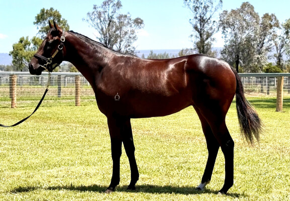 Lot 261: Dirty Work / Offden