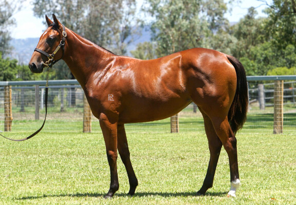 Lot 349: All Too Hard / Rita May