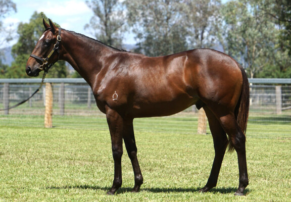 Lot 406: Flying Artie / Set the Tone