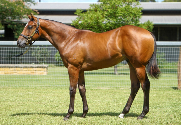 Lot 413: Ole Kirk / Sheer Lightning