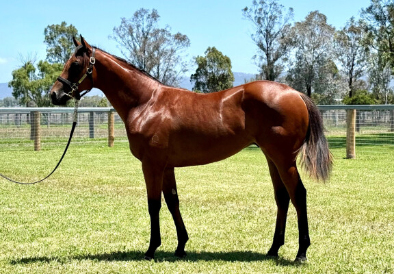 Lot 572: King's Legacy / We Can Dance