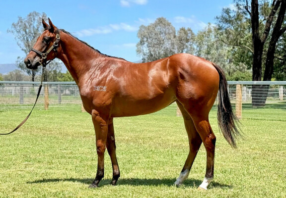 Lot 711: Daumier / Chanteresse