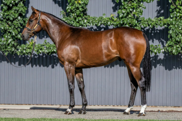 Lot 53: Proisir / Hail to the Queen