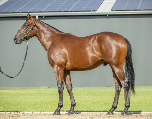 Lot 450: I Am Invincible / Solitary Road (USA)