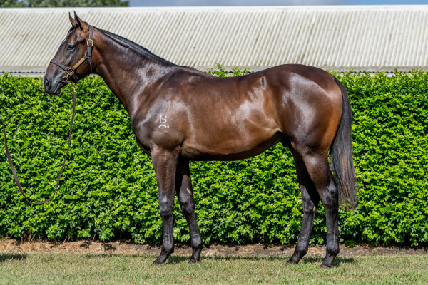 Lot 78: Stay Inside / If You Can Dream