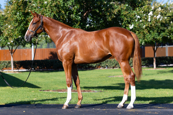 Lot 283: The Autumn Sun / Pandemonium