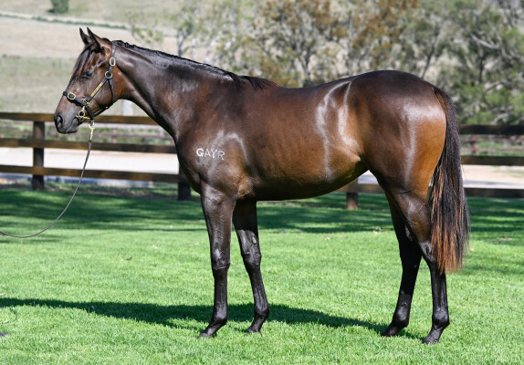 Lot 356: Farnan / Rocket of Ransom