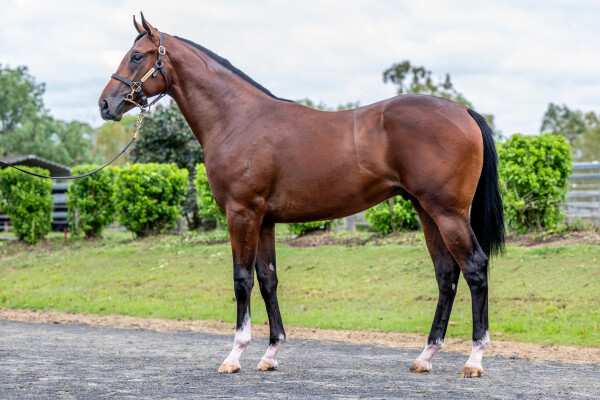 Lot 332: Alabama Express / Rare Ransom (GB)