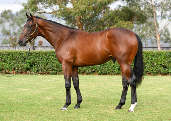 Lot 88: Capitalist / Is What it Is