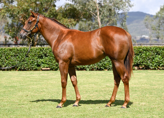 Lot 101: Stay Inside / Kansino