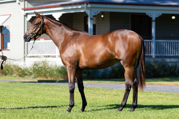 Lot 538: Too Darn Hot (GB) / Two for the Road