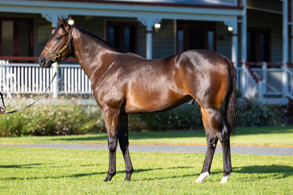 Lot 769: Cosmic Force / Dot Com