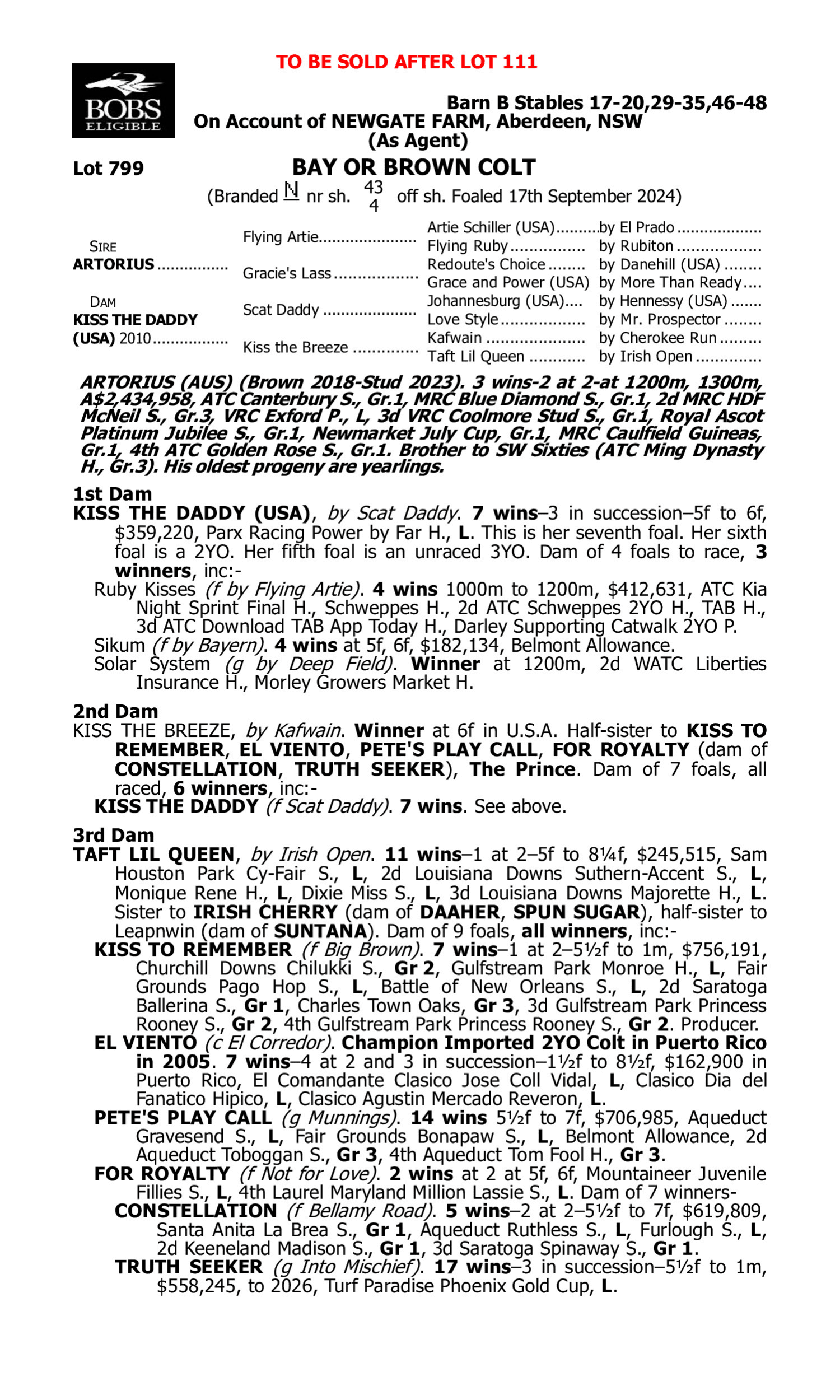 Pedigree for Lot 799 Artorius - Kiss the Daddy (USA)