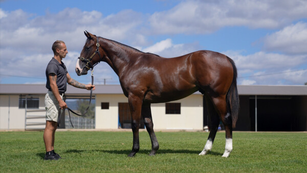 Lot 546: In the Congo / Unguarded