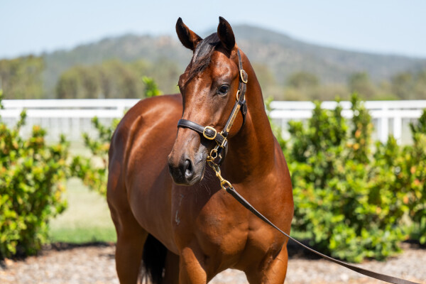 Lot 211: Captivant / Money in My Pocket