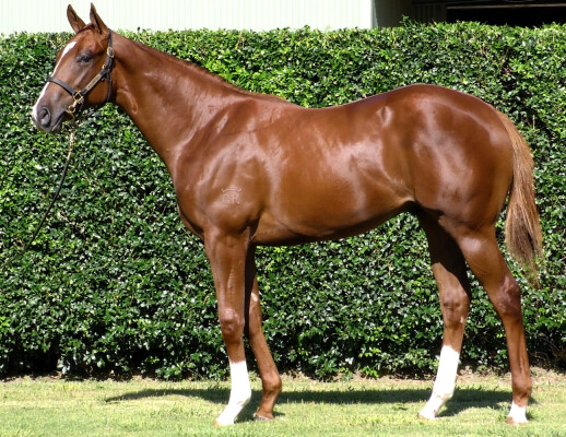 Lot 329: Capitalist / Raise Up