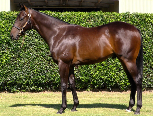 Lot 380: Exceedance / Sakitto