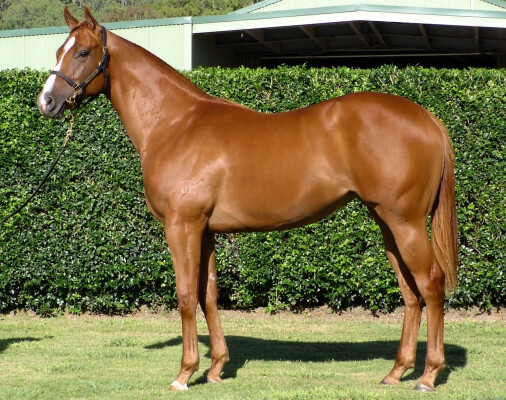 Lot 770: Russian Revolution / Dream Kisses