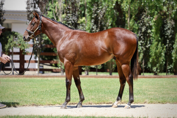 Lot 534: Portland Sky / Tumbler