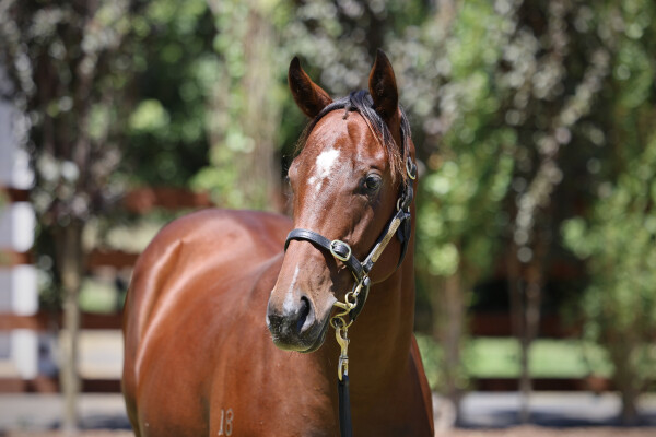 Lot 534: Portland Sky / Tumbler