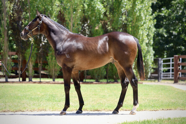 Lot 599: Written Tycoon / Zero to Hundred