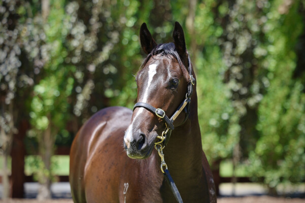 Lot 599: Written Tycoon / Zero to Hundred