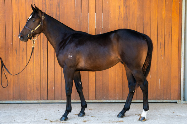 Lot 791: Rubick / Everlasting Love