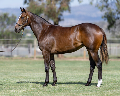 Lot 377: Kermadec (NZ) / Safe Passage