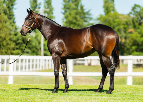 Lot 746: Prized Icon / Decisive Move