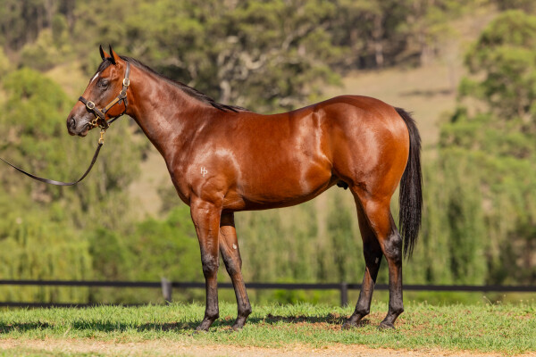 Lot 397: Exceedance / Secaution