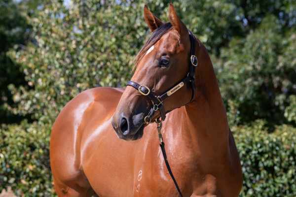 Lot 630: Written By / Any Other Day