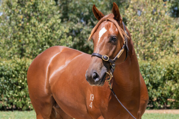 Lot 701: Sejardan / Casa de Lago