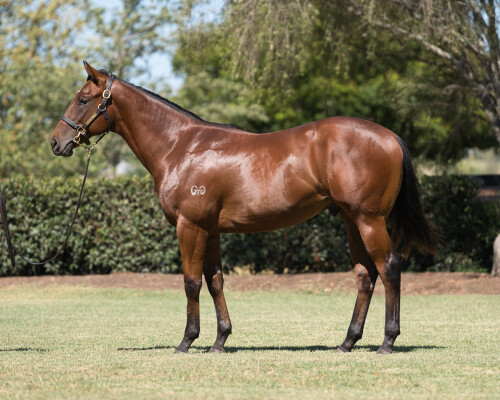 Lot 44: Capitalist / Gone to Paris