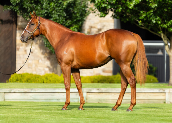 Lot 374: Russian Revolution / Ruthin (GB)