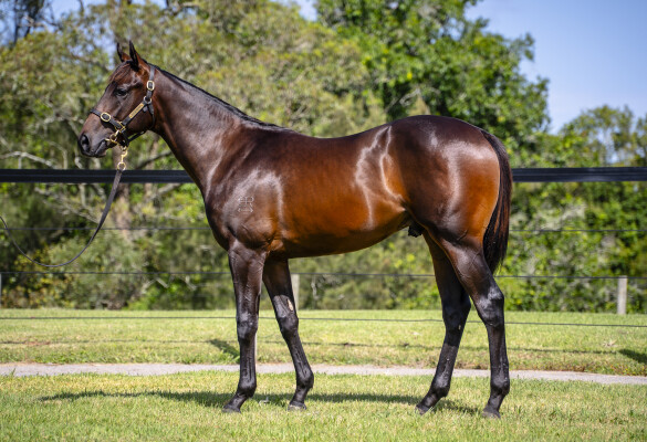 Lot 657: Tassort / Baroness de Ville