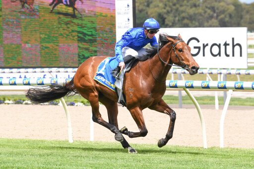 Godolphin draft headlines Feb (Early) Online Sale